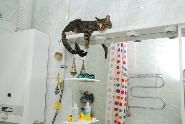 белая колонка в ванной
